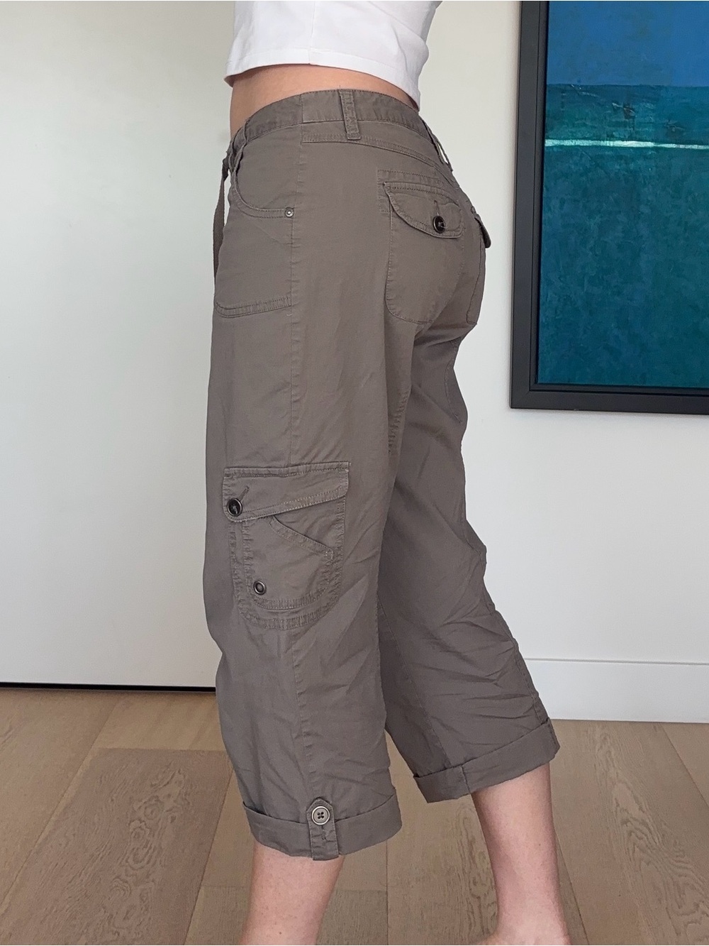 Style & Co. y2k Capris